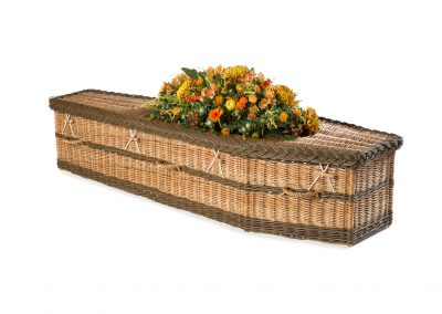 Traditional brown English Willow