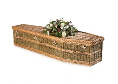 Traditional green English Willow